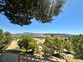 Landhaus mit Pool und unglaublicher Aussicht in Sax in Alicante Property