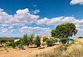 Maison de campagne magnifiquement préservée dans un superbe emplacement à Yecla in Alicante Property