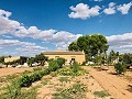 Maison de campagne magnifiquement préservée dans un superbe emplacement à Yecla in Alicante Property