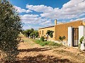 Maison de campagne magnifiquement préservée dans un superbe emplacement à Yecla in Alicante Property