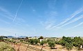 Landhaus in fußläufiger Entfernung von Pinoso in Alicante Property