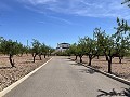 Stunning Detached Villa with Pool in Pinoso in Alicante Property