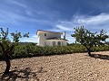 Superbe villa individuelle avec piscine à Pinoso in Alicante Property