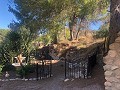 Casa cueva modernizada en las montañas in Alicante Property