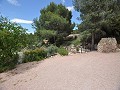 Casa cueva modernizada en las montañas in Alicante Property