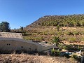 Modernised Part Cave House in the mountains in Alicante Property