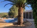 Casa cueva modernizada en las montañas in Alicante Property