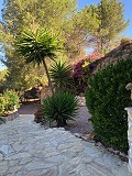 Casa cueva modernizada en las montañas in Alicante Property