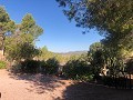 Maison en partie troglodyte modernisée dans les montagnes in Alicante Property