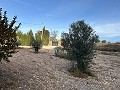 Schönes Landhaus mit großem Padelplatz in Alicante Property