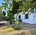 Belle maison de campagne avec terrain de padel pleine grandeur in Alicante Property