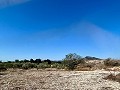 Belle maison de campagne avec terrain de padel pleine grandeur in Alicante Property