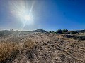 Groot huis op het platteland met percelen in Pinoso in Alicante Property