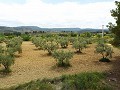 Loop naar de stad Villa met zwembad in Alicante Property