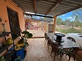 Maison de campagne à Pinoso avec 2 chambres troglodytes in Alicante Property