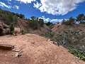 Maison de campagne à Pinoso avec 2 chambres troglodytes in Alicante Property