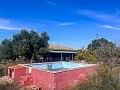 Country House with Pool and Guest House between Sax and Salinas in Alicante Property