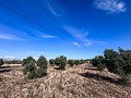 Country House with Pool and Guest House between Sax and Salinas in Alicante Property