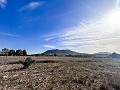 Country House with Pool and Guest House between Sax and Salinas in Alicante Property