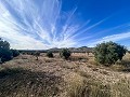 Country House with Pool and Guest House between Sax and Salinas in Alicante Property