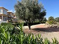 Stunning Ground Floor 2 Bedroom Apartment in Alicante Property